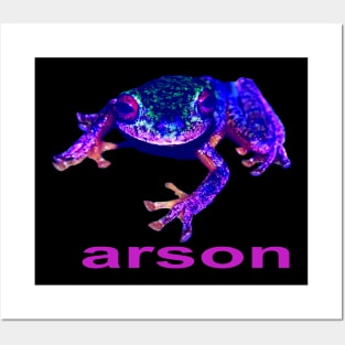 BLUE FROG ARSON Posters and Art